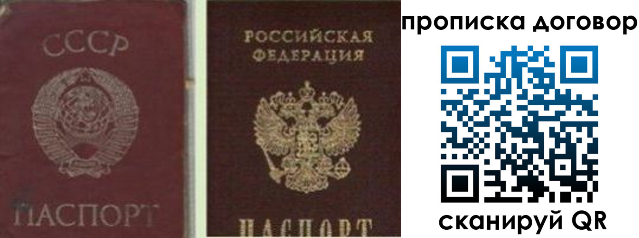 прописка гарантия в Туймазы